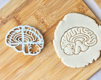 Anatomical Brain Cookie Cutter- Human Anatomy, Medical & Science Student Gift