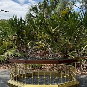 May include: An octagonal coffee table with a dark wood top and a brass-colored metal base. The base features a balustrade design. The table is set outdoors with a backdrop of green foliage and a blue sky.