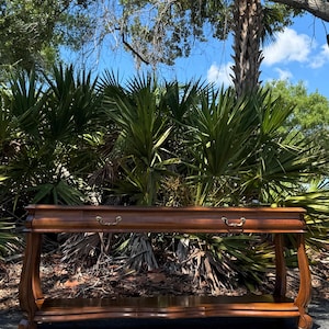 May include: A long, dark brown wooden console table with two drawers and ornate brass handles. The table has curved legs and a lower shelf. The background features lush green foliage and a bright blue sky.