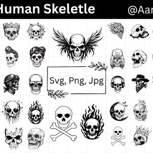 Human Skull SVG Bundle, Anatomy Skeleton Clipart, Medical Bone Svg, Cut Files for Cricut & Silhouette, Halloween Skull PNG, Digital Download