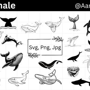May include: Collection of black and white whale illustrations in various poses, including silhouettes and detailed drawings. The image includes the text "Whale" and "Svg, Png, Jpg".