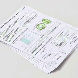 Fiches de Révision SVT - Terminale Bac