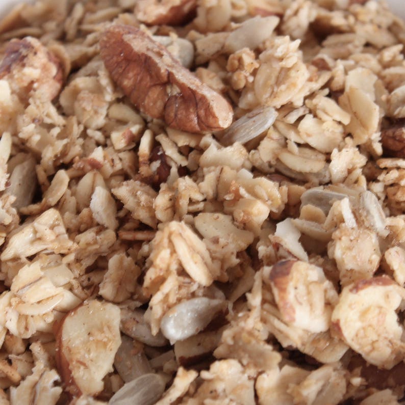 Elemental Formula Pecan and Orange Granola Etsy