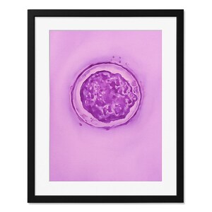 Peut inclure: Impression encadrée présentant une image abstraite en gros plan. L'œuvre d'art met en valeur une forme circulaire centrale dans des tons violets, sur un fond violet clair. L'impression est encadrée dans un cadre noir, ajoutant une touche moderne.