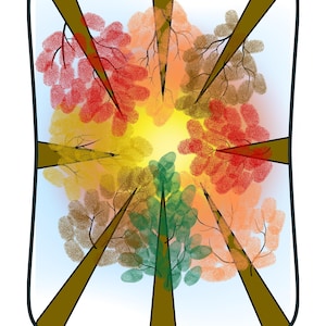 May include: An illustrated artwork featuring a view from below of several trees with colorful foliage. The leaves are in shades of red, orange, yellow, green, and brown. The trunks are brown, and the background is a gradient of blue and yellow. A white rectangle with the word "NAME:" is at the bottom.