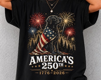 Maglietta con il Labrador nero per il 250° anniversario dell'America, maglietta con Labrador Retriever patriottico, maglietta con cane e bandiera americana, maglietta con grafica dei fuochi d'artificio del 4 luglio, 4 luglio