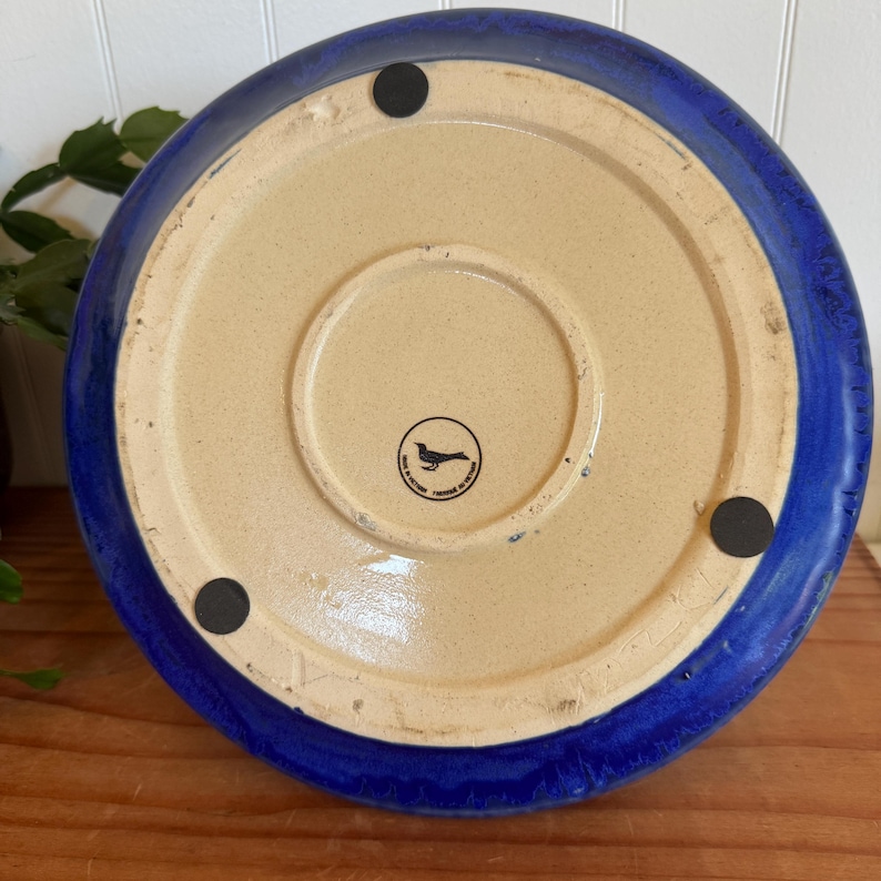 May include: A ceramic planter base with a vibrant blue rim and a beige interior. The base has a circular design with a bird logo and three black rubber feet for stability. The planter is designed for indoor or outdoor use.