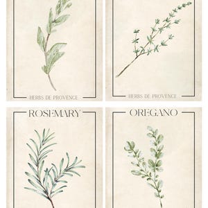 Digitale prints Herbs de Provence – set van 4 botanische kruidenmuurkunst | Rozemarijn, oregano, tijm, marjolein | Afdrukbaar Frans keukendecor