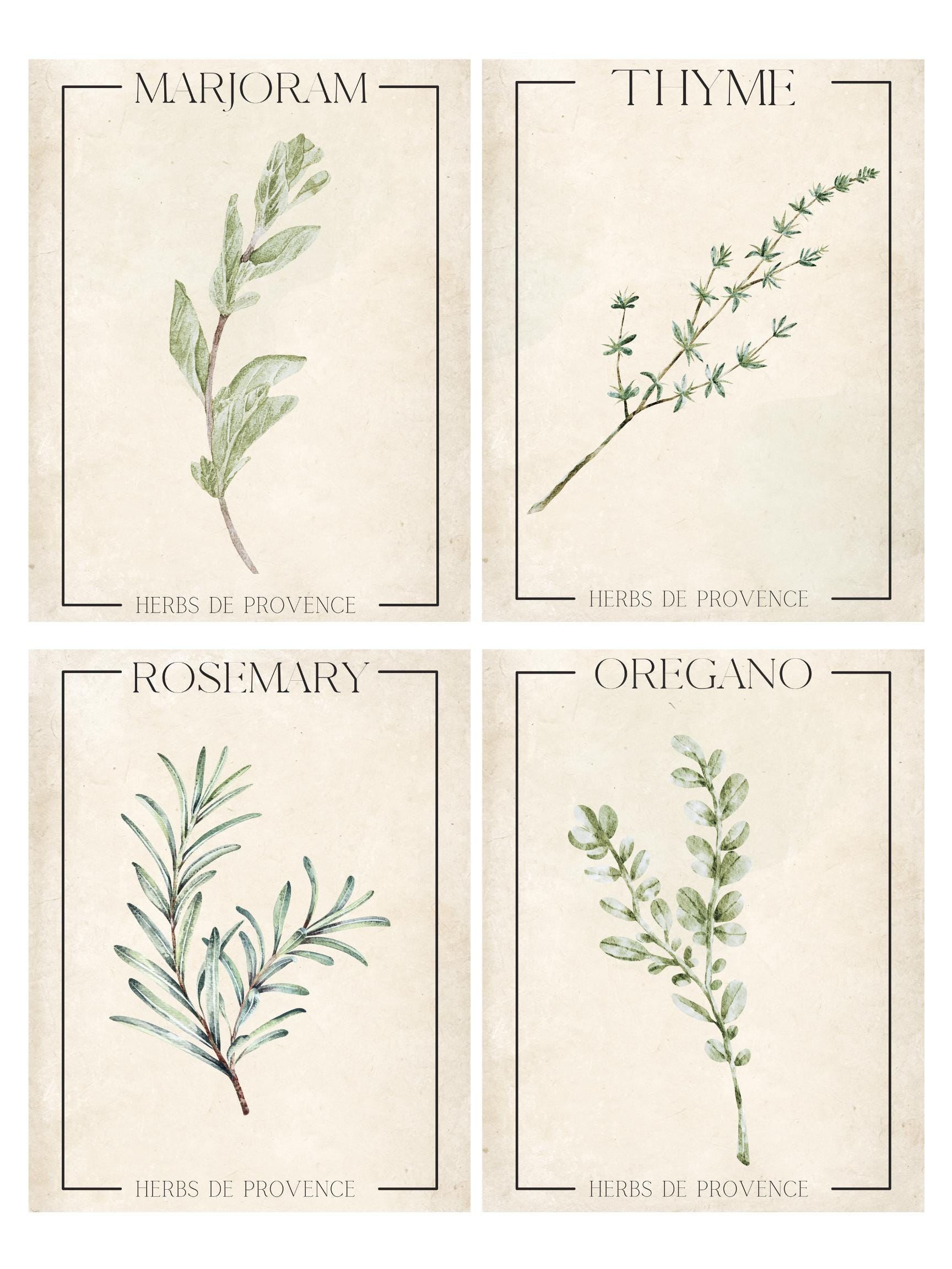Herbs De Provence Digital Prints – Set of 4 Botanical Herb Wall Art ...