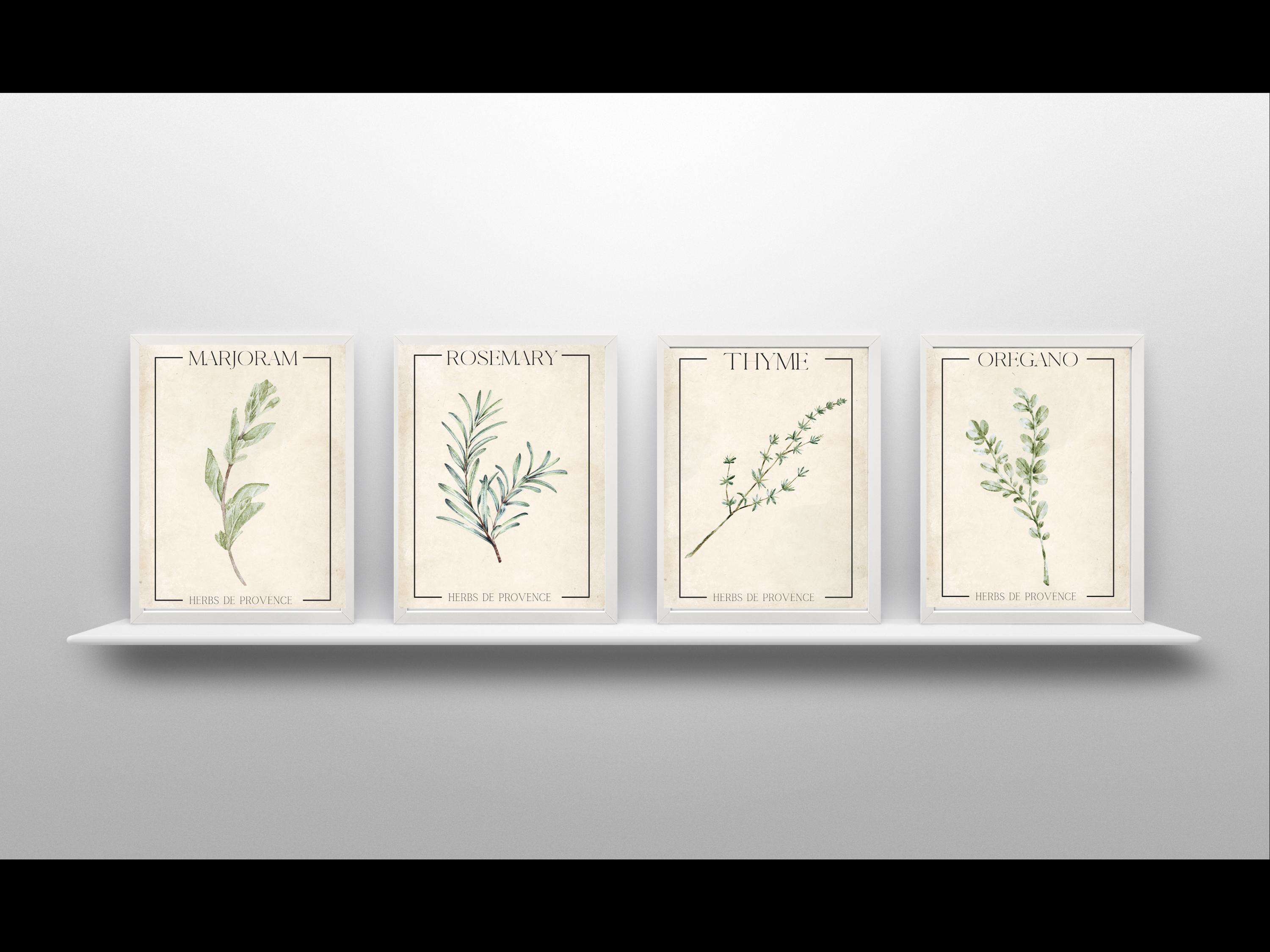 Herbs De Provence Digital Prints – Set of 4 Botanical Herb Wall Art ...