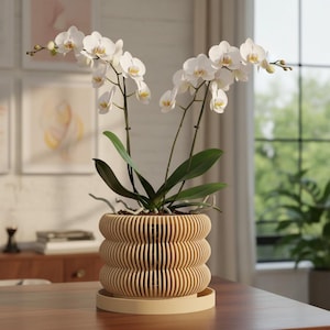 Orchid Planter Pot "Kurga": Modern Geometric Pot with Drainage