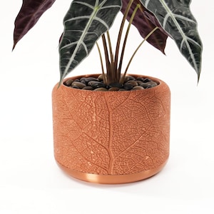 Planter with Drainage "Leaf Vein" | Modern Textured Plant Pot
