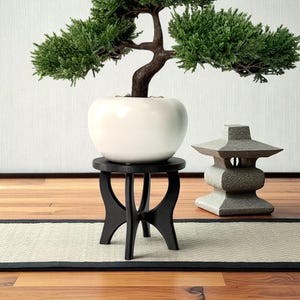 Peut inclure: Un bonsaï aux feuilles vertes dans un pot en céramique blanc est posé sur un support en bois noir. Une lanterne en pierre grise est à côté du support. Le fond présente un mur blanc et un écran shoji japonais traditionnel.