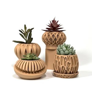 Ensemble de jardinières succulentes imprimées en 3D (4) : pots de cactus géométriques modernes, couleur personnalisée, option de drainage