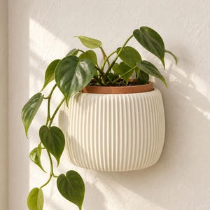 May include: A wall-mounted planter with a vertical ribbed texture in an off-white finish. The planter holds a trailing green philodendron plant with heart-shaped leaves. The inner pot is a contrasting terracotta color, visible at the top rim.