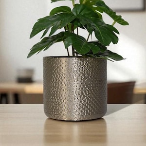 May include: A small green plant with large leaves in a textured, metallic-looking pot. The pot is cylindrical and sits on a light-colored wooden surface. The background is blurred, showing a room with a table and a window.