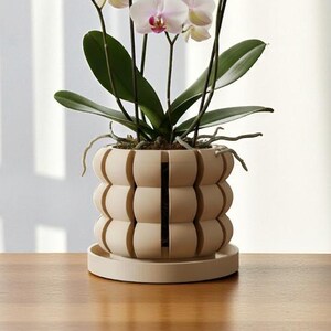 May include: A potted Phalaenopsis orchid with white petals and magenta centers, featuring multiple blooming stems and green leaves. The plant is housed in a beige, cylindrical planter with a segmented, rounded exterior design and a matching circular base.