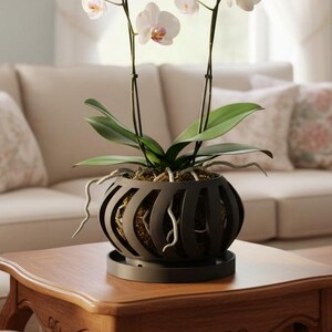 May include: A potted white orchid plant with two tall stems featuring multiple white and light pink flowers. The plant is housed in a dark brown, spherical, slatted planter with a matching circular base, displaying green leaves and visible roots.