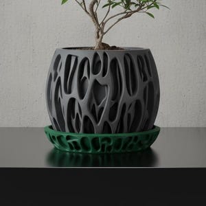 3D Printed “Slime” Planter – Organic Plant Pot with Saucer, Two-Tone or Single Color Design