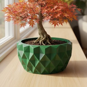 May include: A bonsai tree with vibrant orange and red leaves sits in a geometric green pot. The tree's trunk is a light brown color, and the pot is placed on a wooden surface near a window. The scene is well-lit, suggesting a bright, indoor setting.