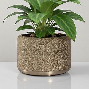 May include: A potted plant with vibrant green leaves sits in a decorative, round, tan-colored pot. The pot features a detailed leaf vein pattern and a metallic gold base. Small pebbles surround the plant's base, enhancing the natural aesthetic.