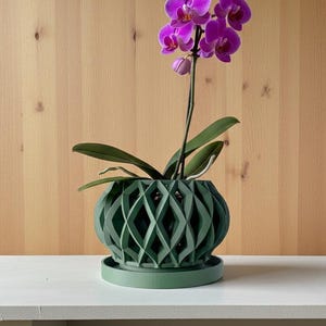 3D Printed Orchid Planter "Elson": Modern Geometric Pot with Drainage