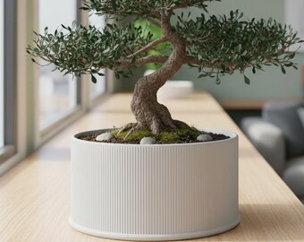 Modern Bonsai Planter “Tori” with Ribbed Texture