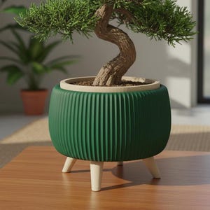 May include: A bonsai tree with green foliage and a curved trunk sits in a dark green, ribbed pot with light-colored wooden legs. The pot is on a wooden table, with other plants in the background.