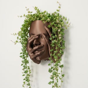 3D Printed Face Wall Planter "Echo" – Modern Art Sculpture, Indoor Hanging Planter