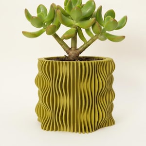 Architectural Planter "Muxel", Custom Color Indoor Planter