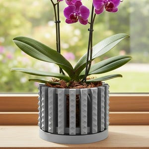 May include: A potted orchid with bright purple flowers and green leaves. The plant is in a grey, geometric-patterned pot with a matching saucer. The background shows a blurred view of a window and outdoor greenery.