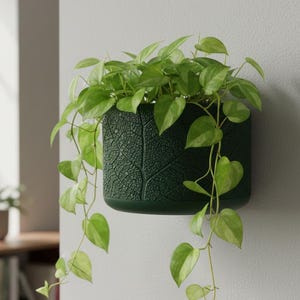 May include: A dark green, wall-mounted planter filled with a vibrant green plant. The planter has a textured leaf pattern and is rectangular in shape. Trailing vines with heart-shaped leaves cascade down the wall, creating a natural, decorative element.