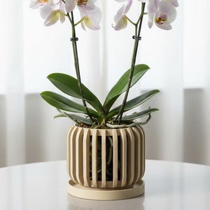 Innovative Orchid Planter Pot "Alden": Geometric 3D Printed Pot for Stylish Indoor Gardening