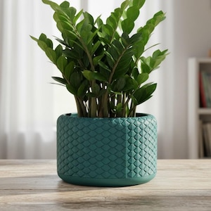 May include: A ZZ plant with vibrant green leaves is potted in a teal, textured planter. The planter has a geometric pattern and sits on a wooden surface. The background includes a sheer white curtain and a glimpse of a bookshelf.