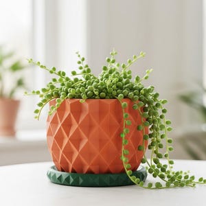 May include: An orange geometric planter with a green succulent plant, sitting on a green saucer. The plant has small, round, green leaves that cascade over the sides of the planter. The planter is on a white surface.