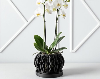 May include: A white Phalaenopsis orchid plant with multiple blooming flowers and green leaves, supported by two thin black stakes. The plant is housed in a black, spherical, geometric-patterned planter that sits on a matching circular tray.