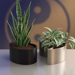 May include: Two potted plants. A tall snake plant with green and yellow striped leaves in a black, semi-circular planter. Next to it is a plant with green and white leaves in a gold, semi-circular planter. A Yin Yang symbol is in the background.