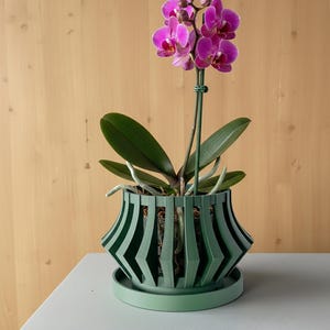 Orchid Planter Pot "Veria" : Modern Geometric Pot with Drainage