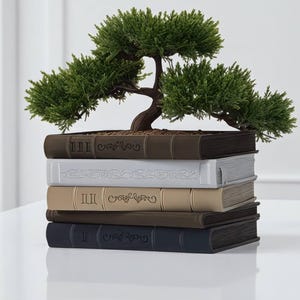 May include: A decorative bonsai tree in a stack of book-shaped planters. The planters are in shades of brown, white, and navy blue. The bonsai has green foliage and a brown trunk. The books have embossed Roman numerals and decorative patterns.