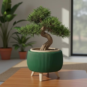 Bonsai Planter with Legs "Arco" | Two Color Sculptural Bonsai Pot with Inner Insert | Custom Color Modern Planter