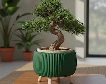 Bonsai Planter with Legs "Arco" | Two Color Sculptural Bonsai Pot with Inner Insert | Custom Color Modern Planter