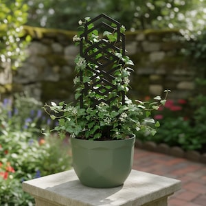 May include: A matte black geometric metal plant trellis stands upright inside a sage green faceted planter. The trellis features a repeating hexagonal and diamond-shaped lattice pattern, supporting a lush green climbing vine with small white flowers.