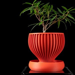 May include: A vibrant orange plant pot with a ribbed design, holding a small green plant. The pot sits on a matching saucer, creating a modern and stylish look. The plant has long, slender green leaves. The background is black.