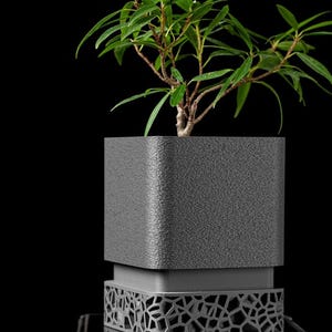 May include: A square dark gray planter with a textured surface and a base featuring an intricate, open-work geometric lattice pattern. A small green plant with slender, pointed leaves grows from the top of the planter against a black background.