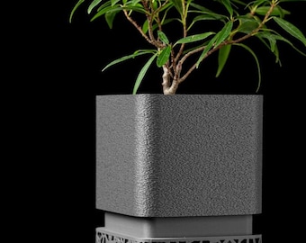 May include: A square dark gray planter with a textured surface and a base featuring an intricate, open-work geometric lattice pattern. A small green plant with slender, pointed leaves grows from the top of the planter against a black background.