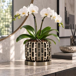 May include: A white orchid plant with green leaves potted in a metallic, cylindrical planter featuring a geometric cutout pattern. The plant is supported by two thin black stakes and sits on a matching circular metal tray base.