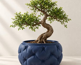 Modern Bonsai Planter “Kivu” with Sculpted Padded Texture