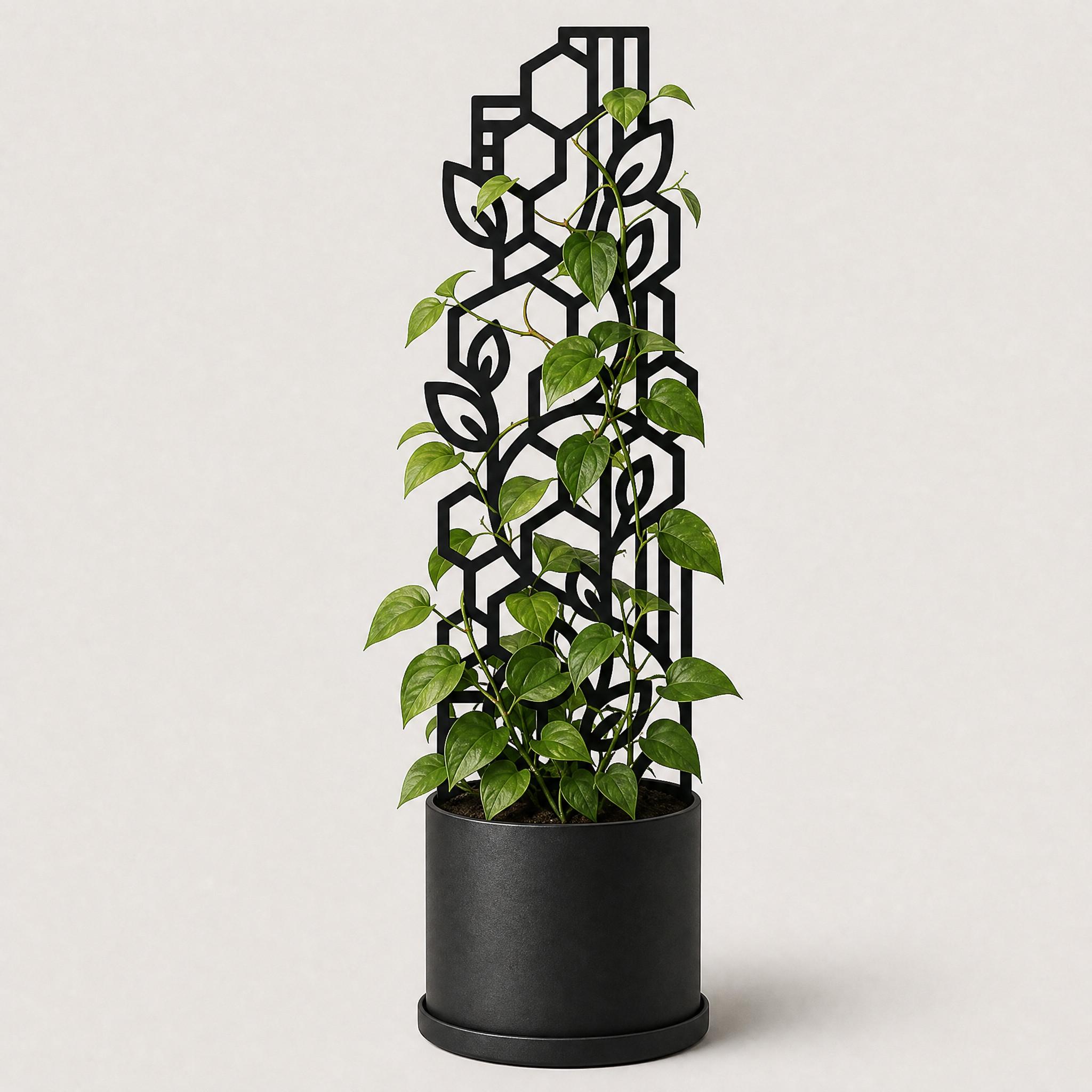 Indoor Plant Trellis, Climbing "Vine" Support