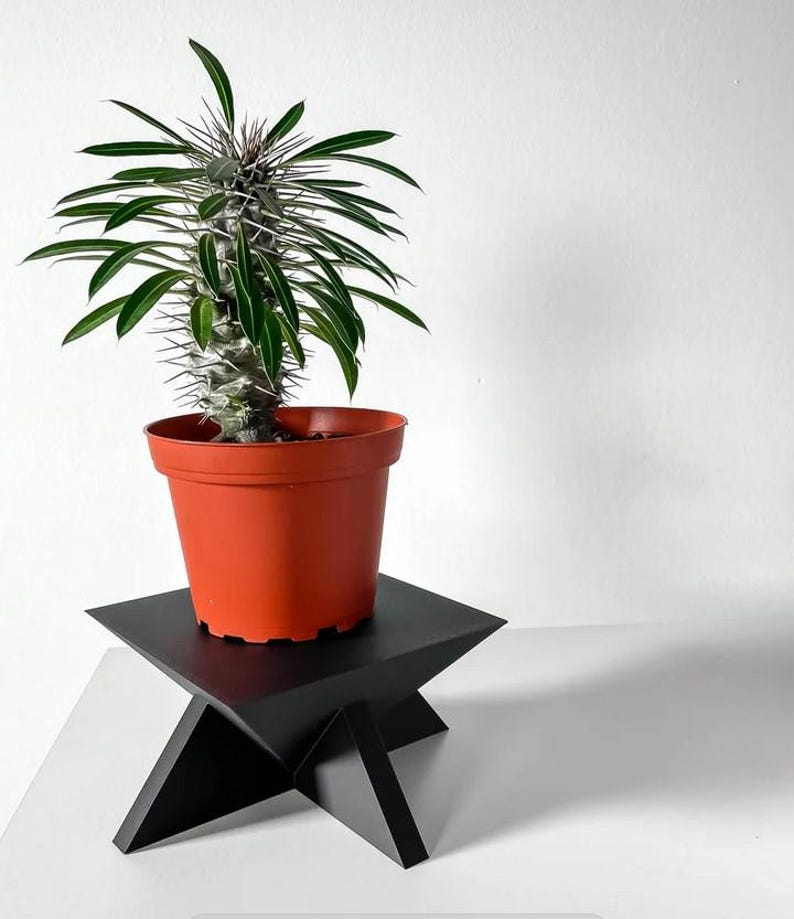 Modern Plant Riser Modern 3D Printed Pedestal Plant Stand
