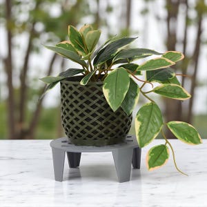 May include: A green woven plastic planter pot with a plant featuring green and cream-colored leaves. The pot sits on a gray plastic plant stand with three legs. The background is blurred.